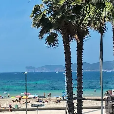 דירה A Place In The Sun *